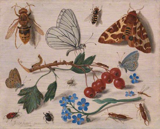 Butterflies, Moths and Insects with Sprays of Common Hawthorn and Forget-Me-Not