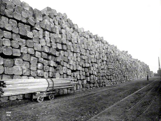 Log stacks, timber storage yard