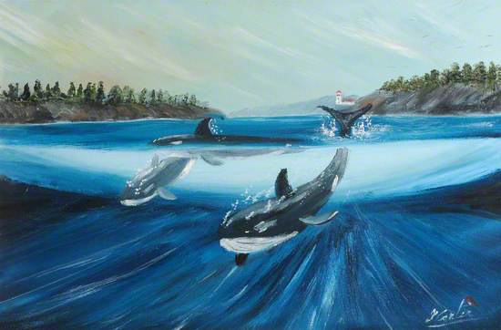 Whales
