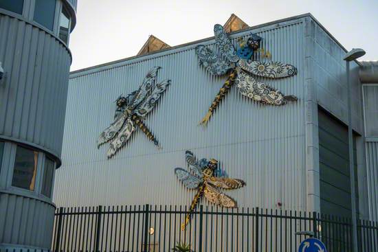 The Regency Dragonflies of Hollingdean