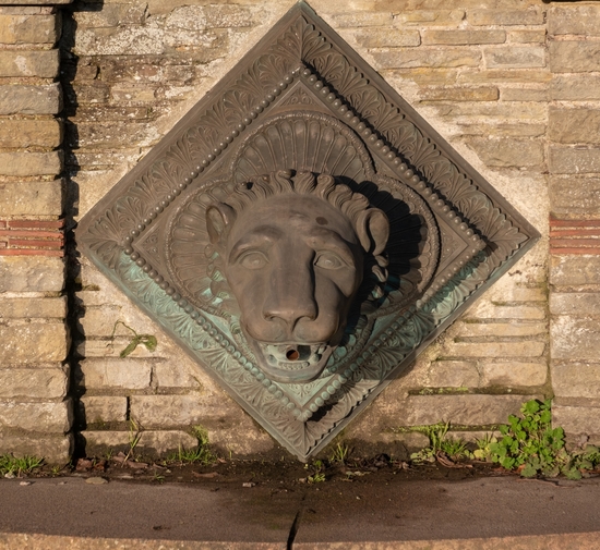 Preston Park Lions and Dolphins