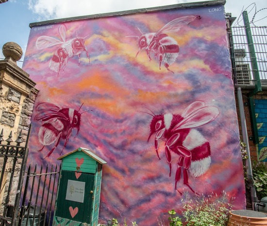 Pink Bees