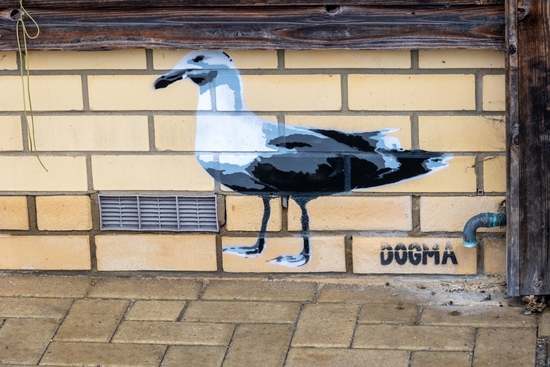 The Seagull Trail