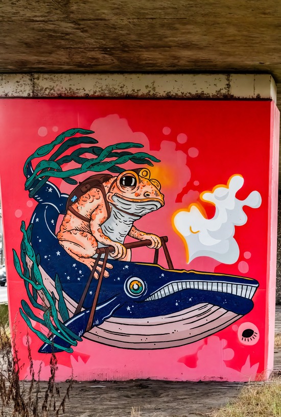 Frog Riding a Whale