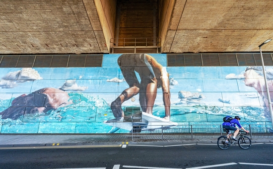 The Swimmer
