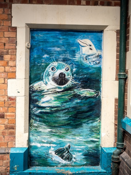 Sea Life