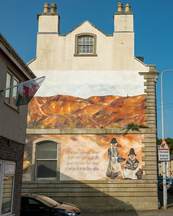 Hanes Mynydd Parys ar Copar Ledis / The History of Parys Mountain and the Copper Ladies