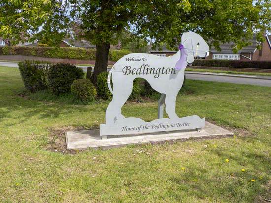 Bedlington Terrier Welcome Sign