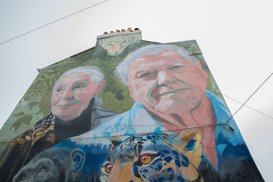 David Attenborough (b.1926) and Jane Goodall (b.1934)