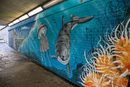 Seaside Creatures