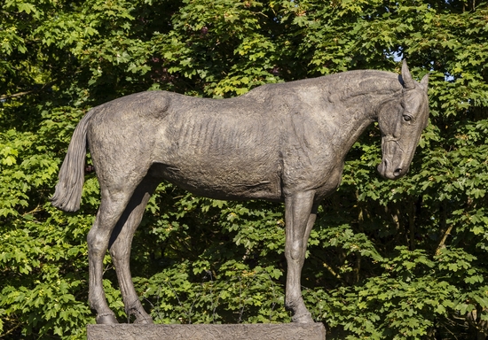 The War Horse Memorial: Strength in Adversity