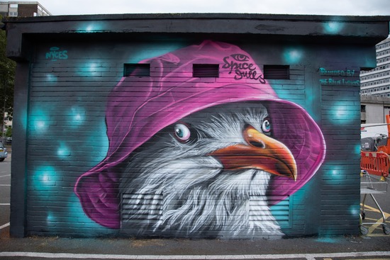 Spice Gulls