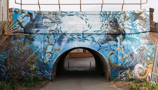 Sealife Mural