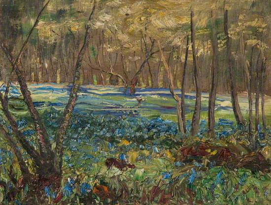 Bluebells, Craigton Wood, Milngavie