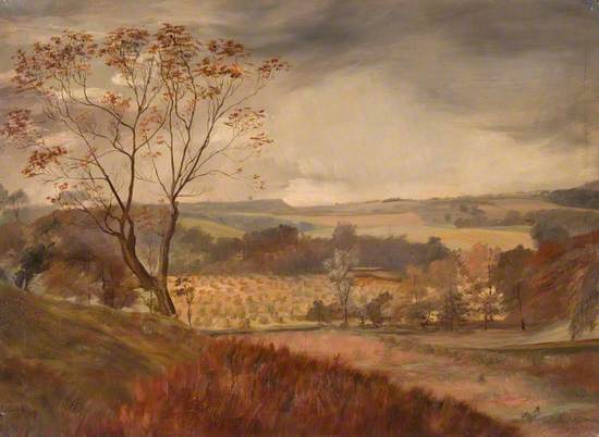 Above River Allander, Milngavie