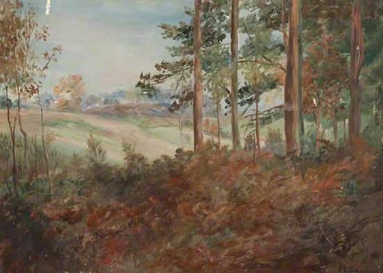 In a Wood, Bankell Farm, Milngavie