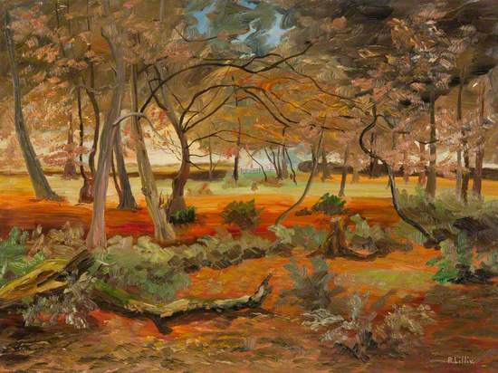 Autumn – Craigton Wood, Milngavie
