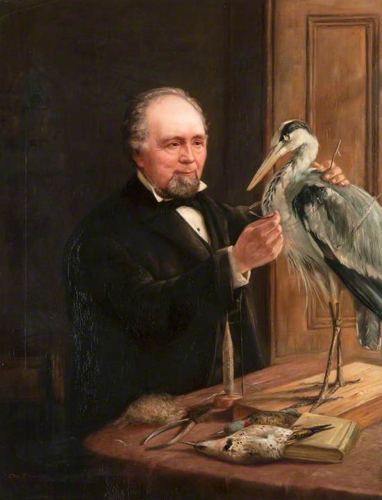 Morris Young