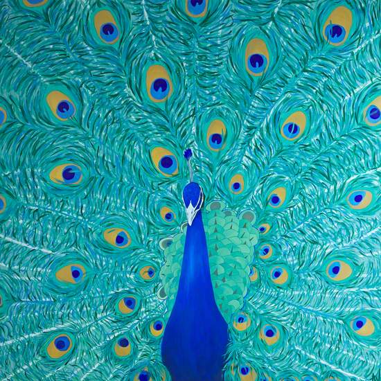 Orientation Panel; Peacock
