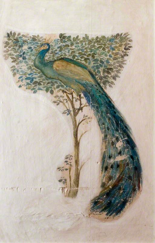 A Peacock