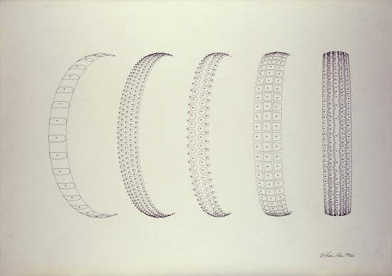 Five Tyres Remoulded: Circumferential Sections