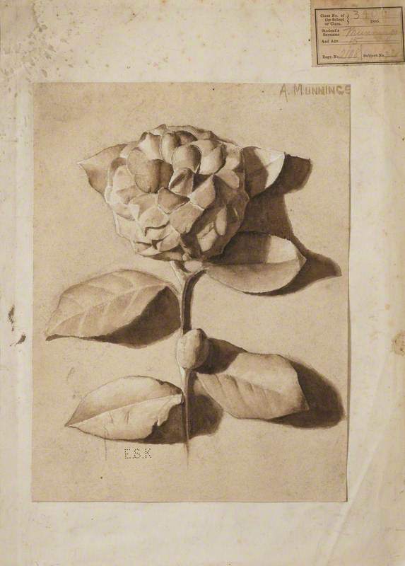 Study of a Plaster Cast, 'Camellia'