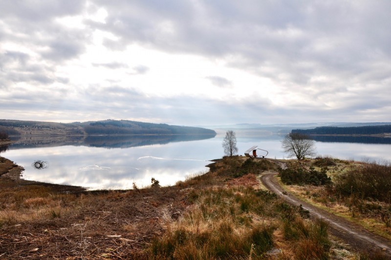 Kielder Water & Forest Park