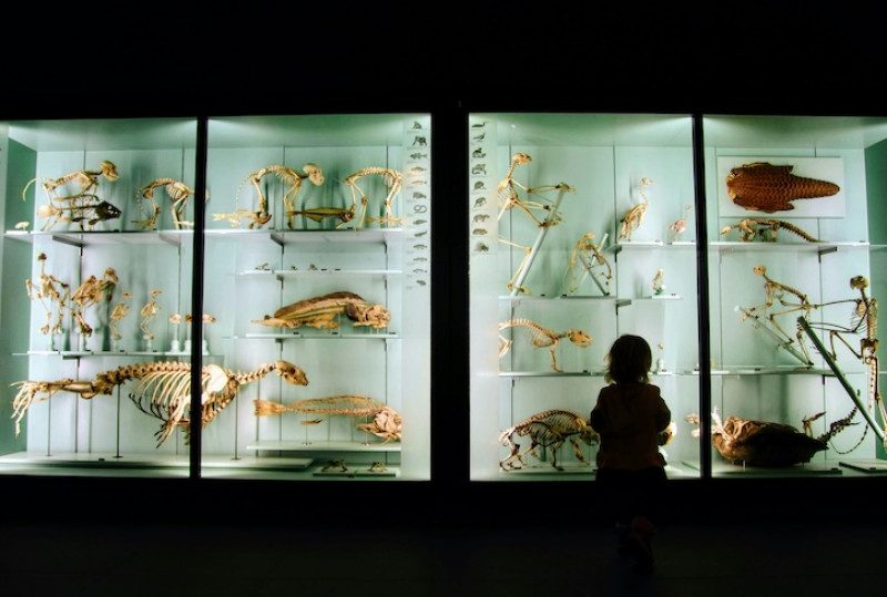 Showcase your venue as a family-friendly destination beyond the events and activities
