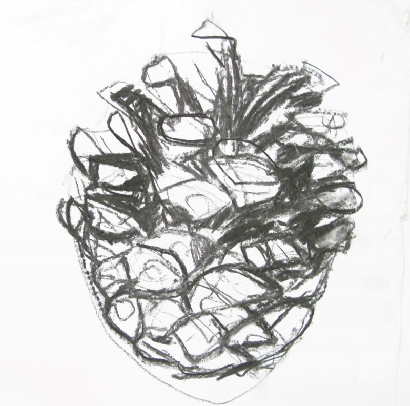 Charcoal drawing of a pine cone
