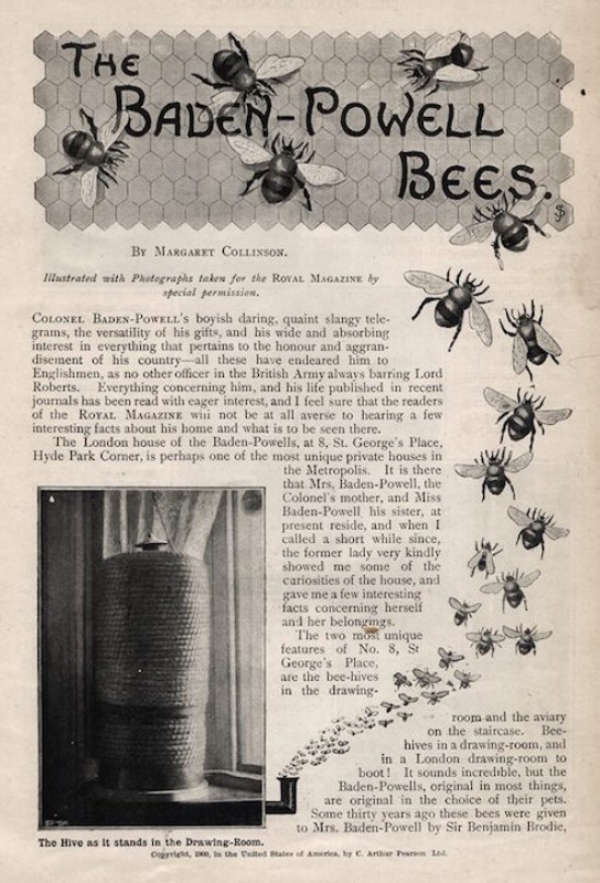 'The Baden-Powell Bees', 1900