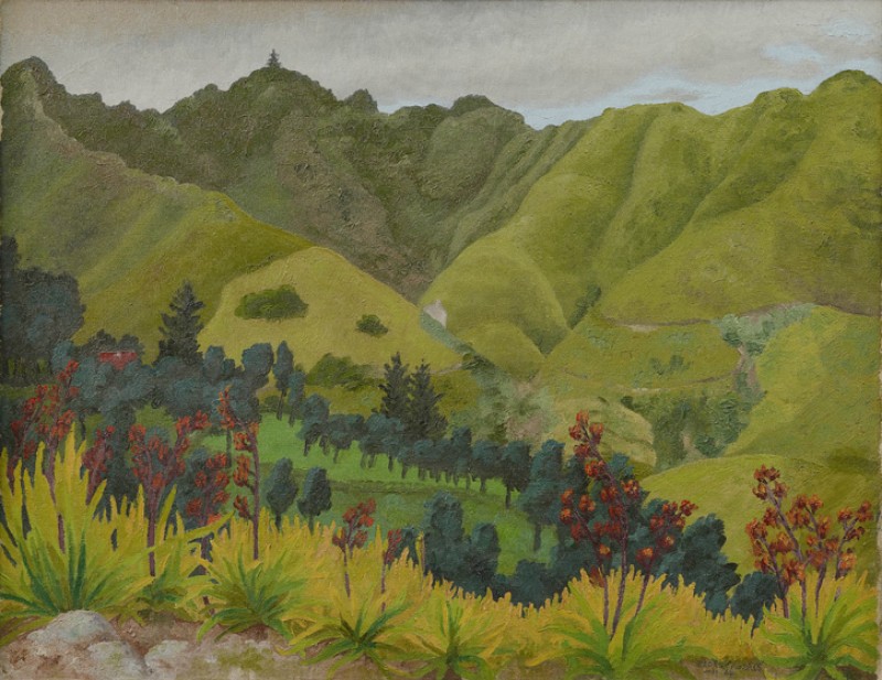 Landscape, Diana’s Peak, St Helena