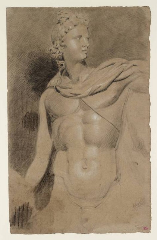 The Head and Torso of the Apollo Belvedere