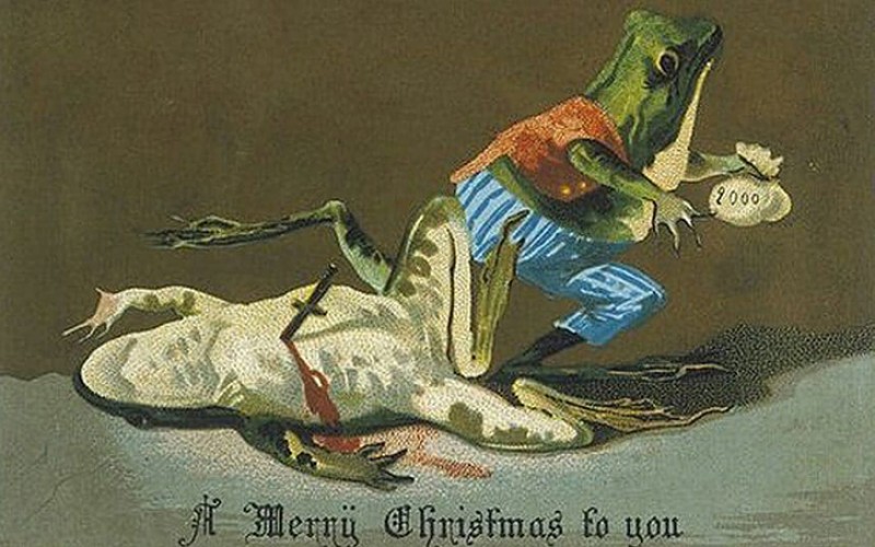 A frog has stabbed and robbed another frog