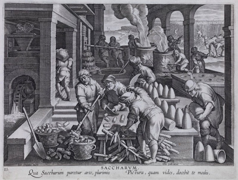 c.1580–1605, engraving made in Antwerp after Jan van der Straet (1523–1605). The scene shows men chopping down sugar cane stems, a table with rows of sugar loaves, stoves with boiling syrup and men in a sugar plantation
