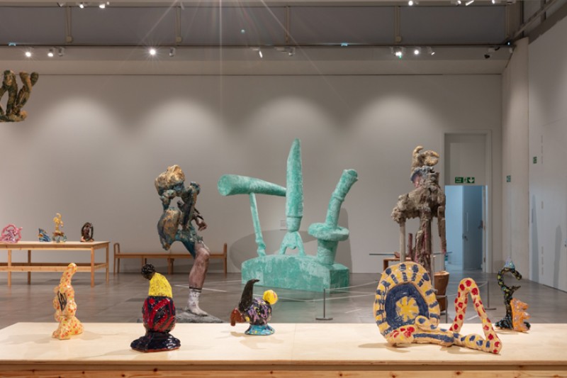 'These Mad Hybrids' exhibition at the Millennium Gallery