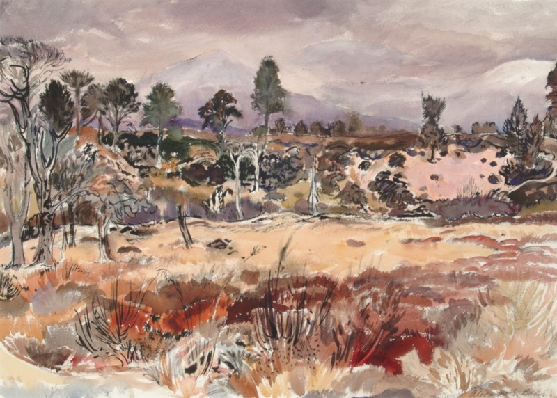 Rothiemurchus Forest, April