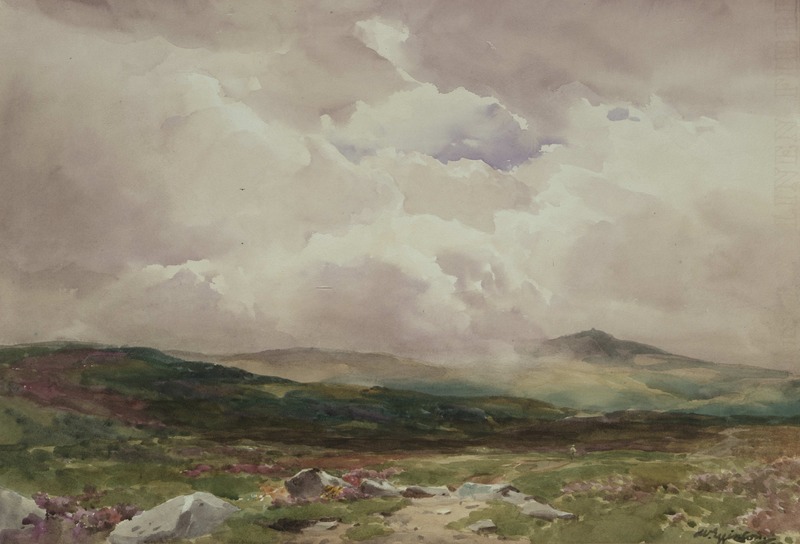 Taw Marsh, Dartmoor