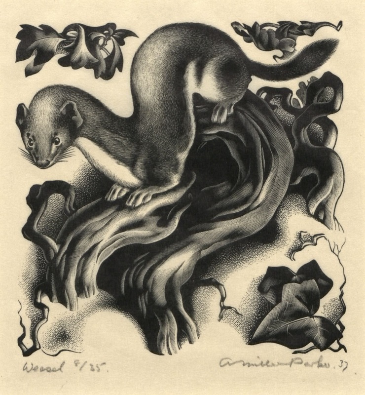 Weasel