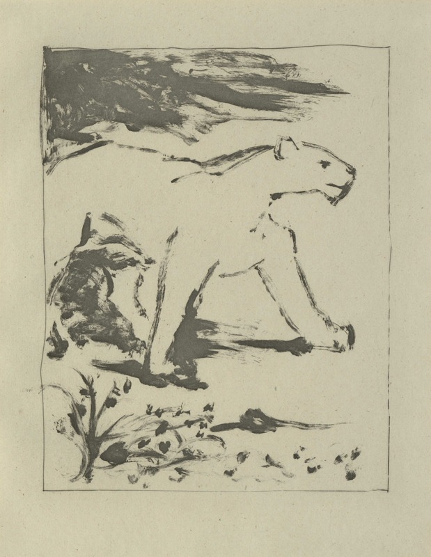 La Lionne (Lions)
