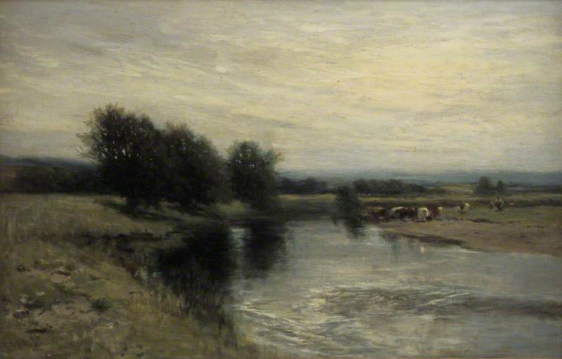 Cows by a River