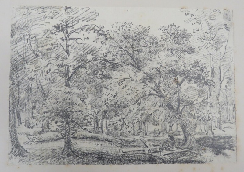 View in Parkland