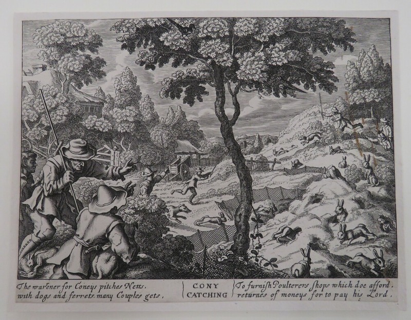Rabbit Catching
