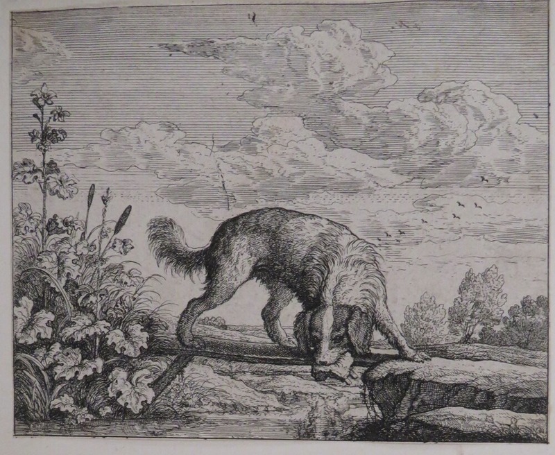 Aesop's Fables: The Dog and Piece of Flesh