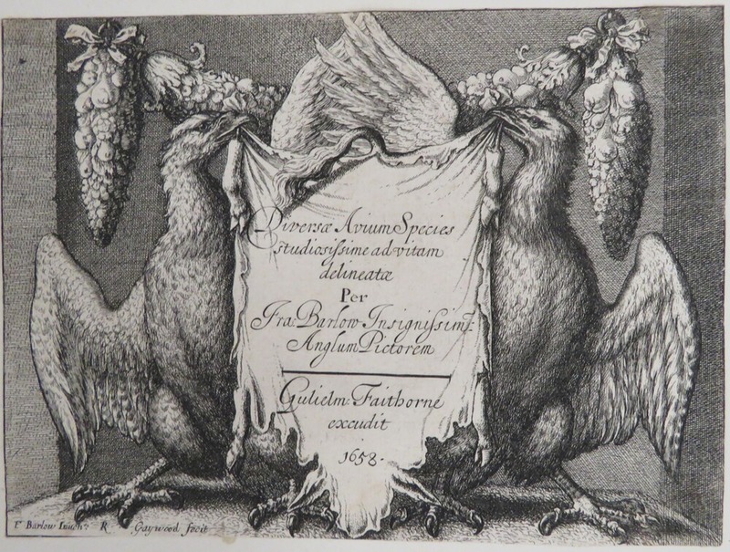 Diversae Avium Species Studiosissime ad Vitam Delineatae: title page