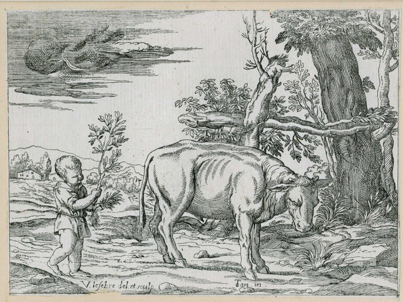 The child and the cow