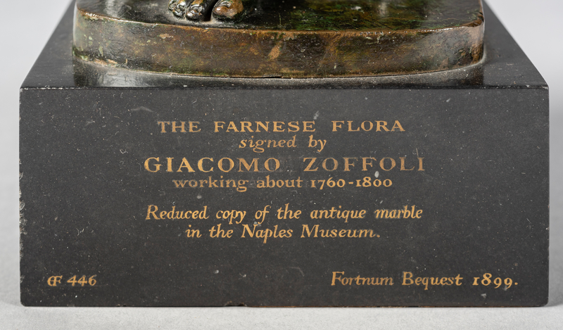 Farnese Flora