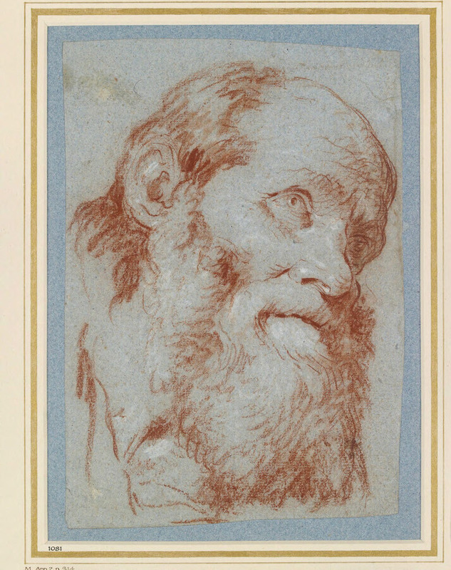Head of an old bearded man