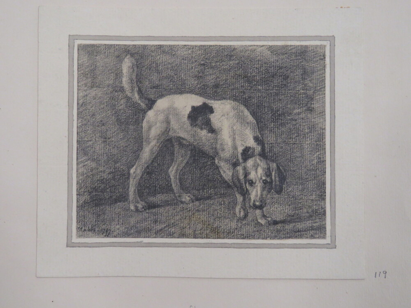 A Dog, after Stubbs