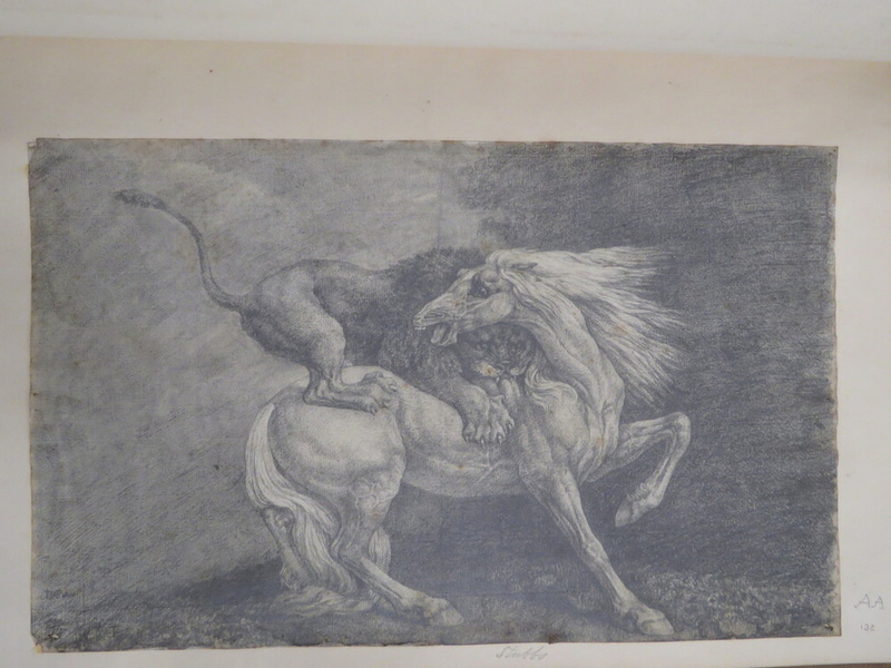 A Horse attacked by a Lion, after Stubbs