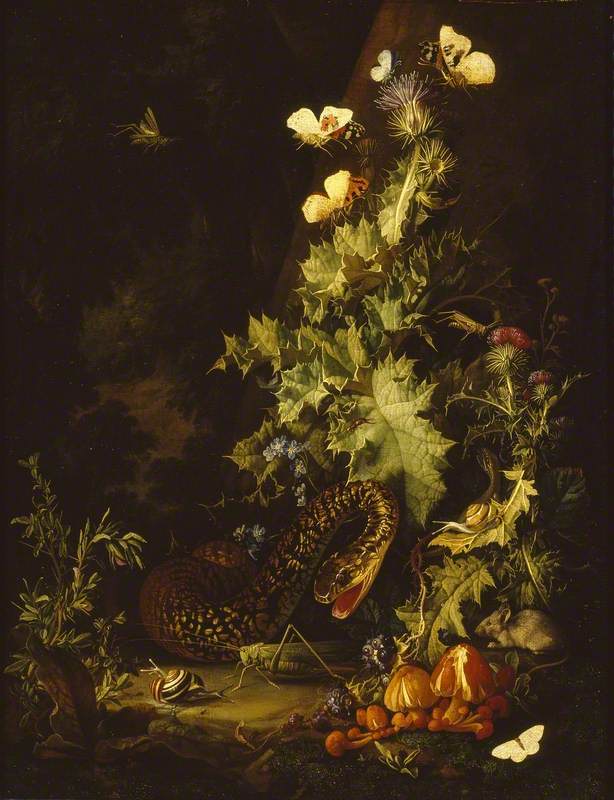 Still Life with a Snake